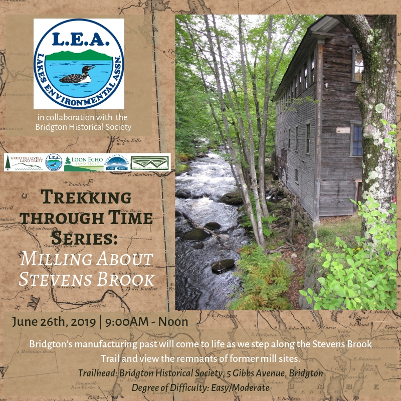 June - Milling About Stevens Brook